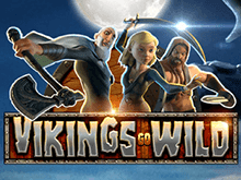 Игровой автомат Wild Viking